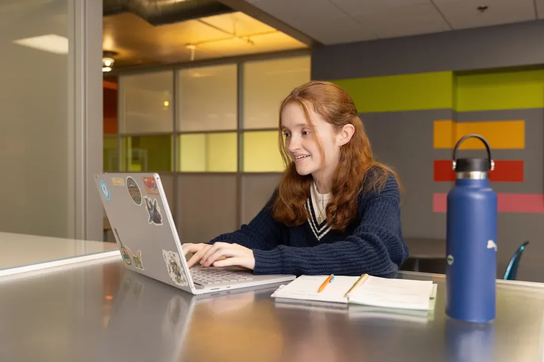 Person sitting on a computer.